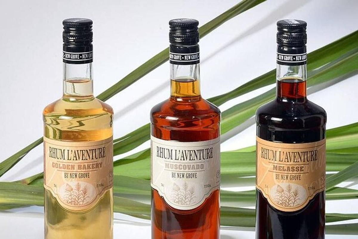 drei Flaschen Wein stehen neben einer Pflanze