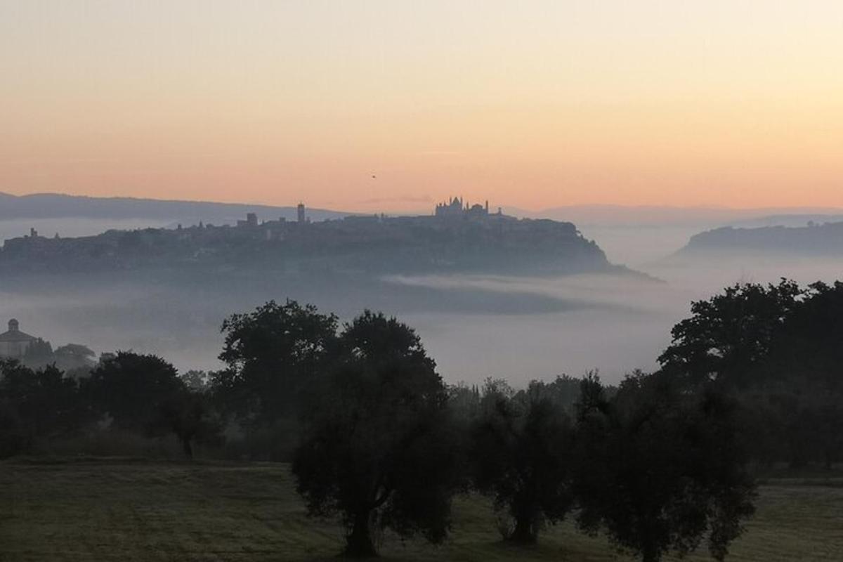 a foggy field with trees and a city in the distance
