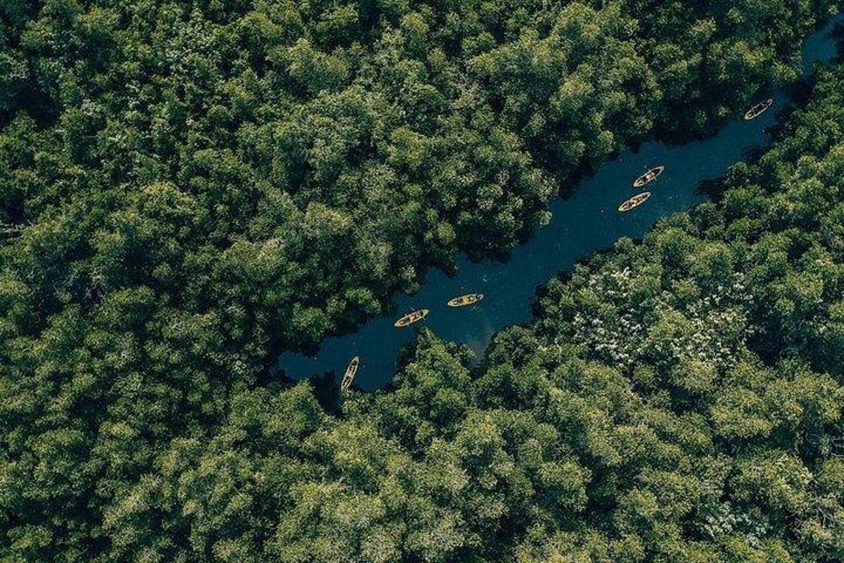 pohled shora na řeku se stromy a loděmi