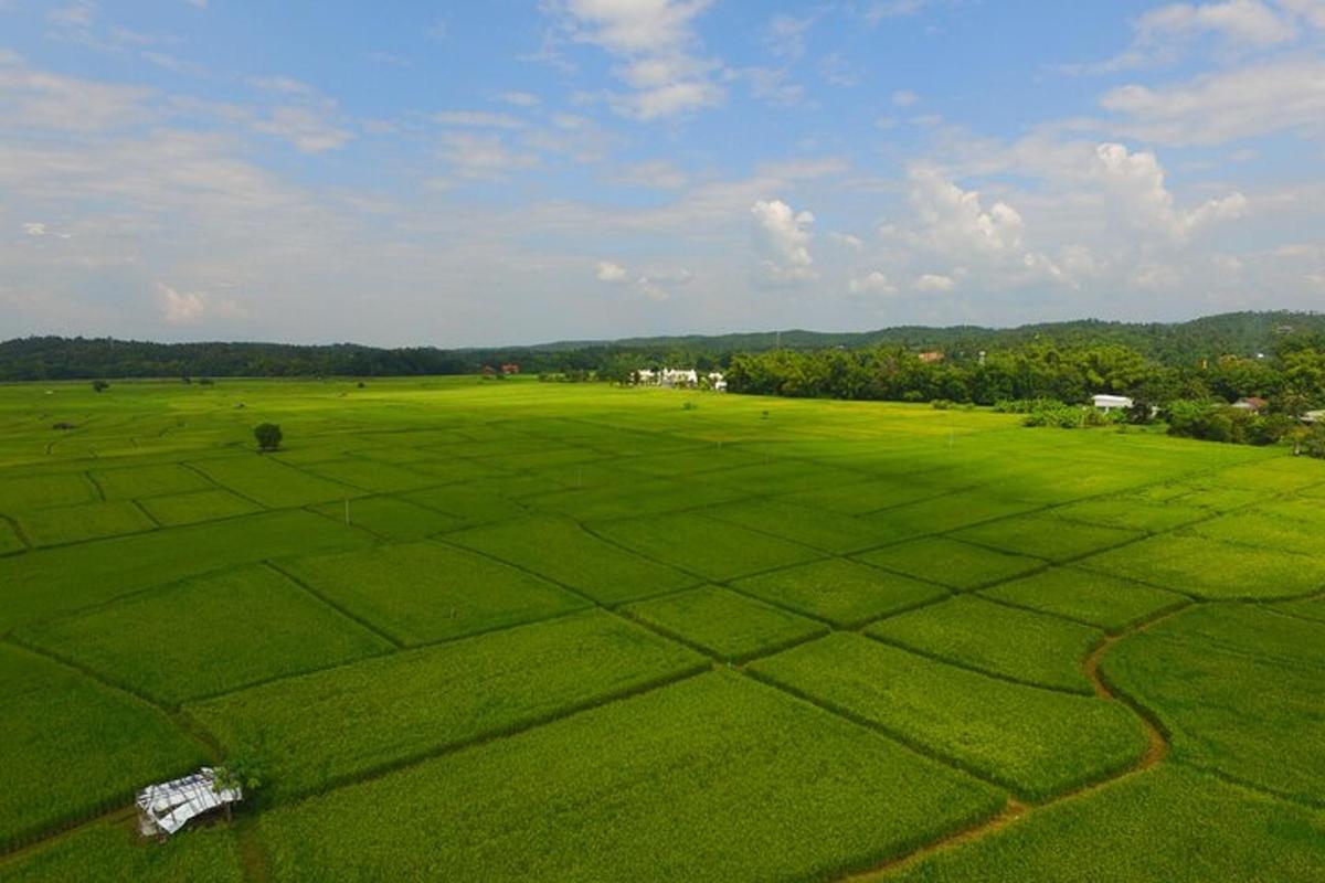 pemandangan dari udara padang hijau yang luas