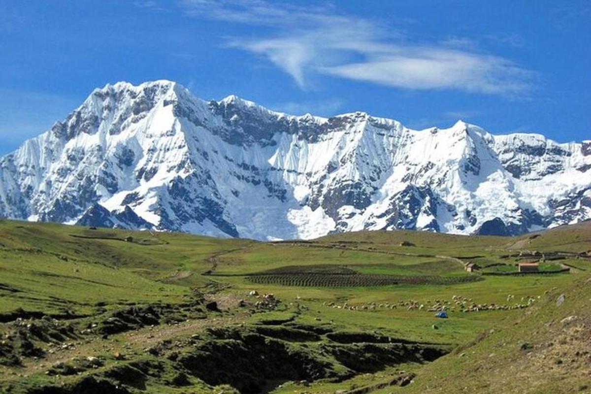 uma montanha coberta de neve com um rebanho de animais em um campo