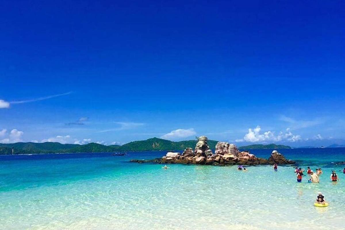 un gruppo di persone in acqua su una spiaggia