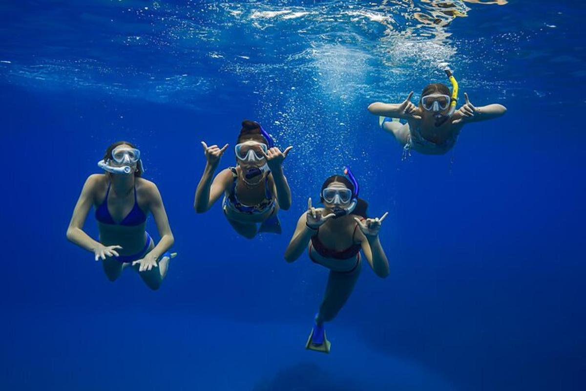 een groep mensen die in het water zwemmen