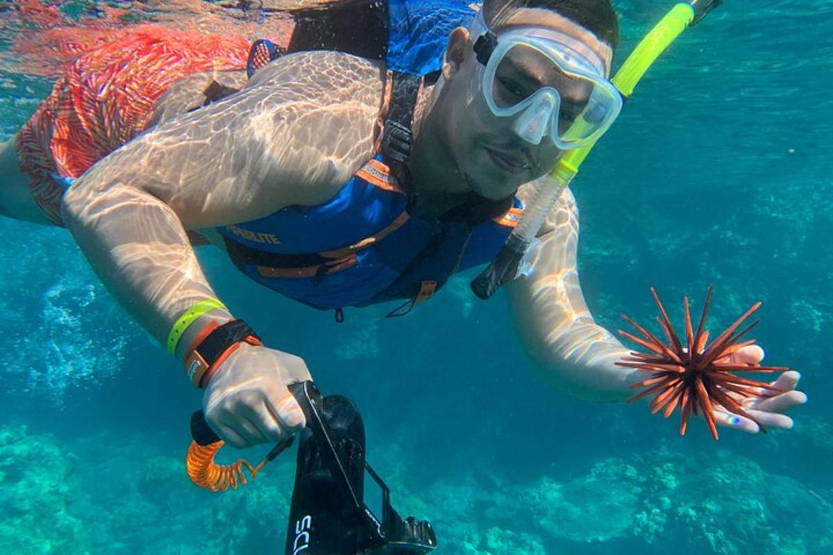 un homme dans l'eau avec une étoile de mer dans l'eau