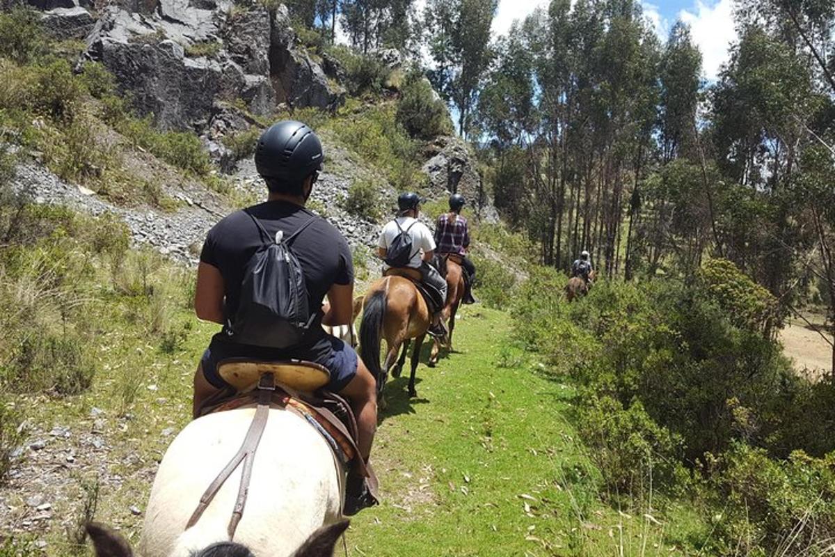 un grup de persones muntant a cavall per un sender