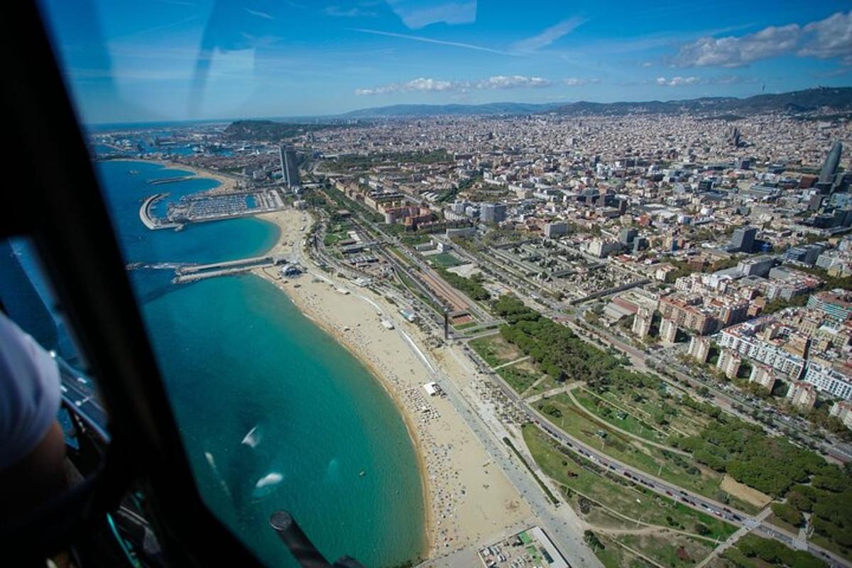 una vista di una spiaggia e dell'oceano da un aereo
