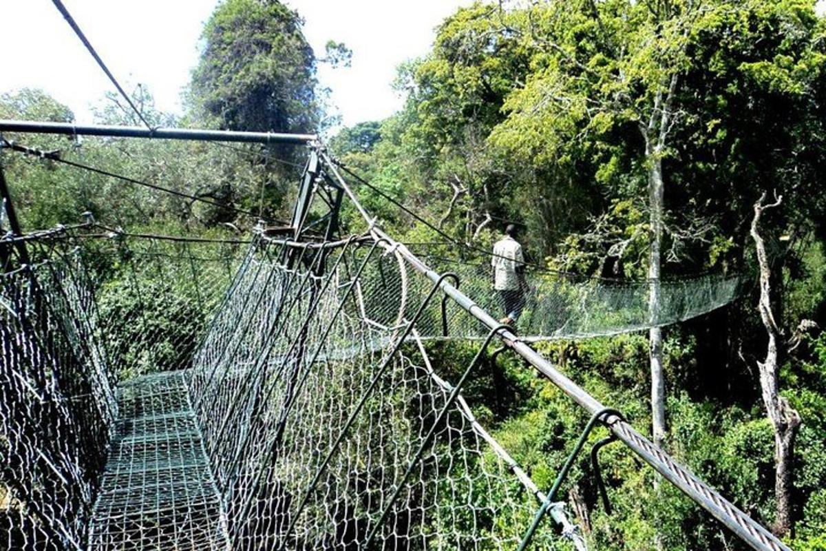 un uomo su un ponte sospeso nella giungla