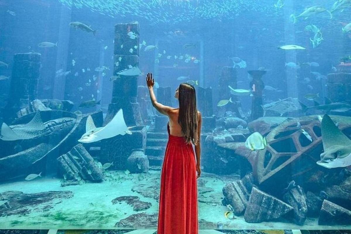 Attraction picture 4