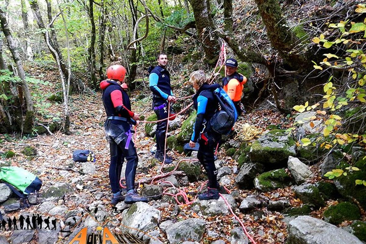 un grup de persones en un sender al bosc