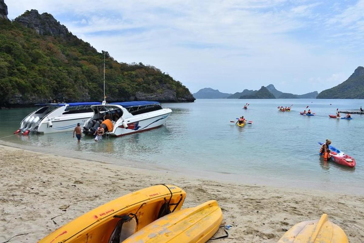 a group of people on a beach with a boat