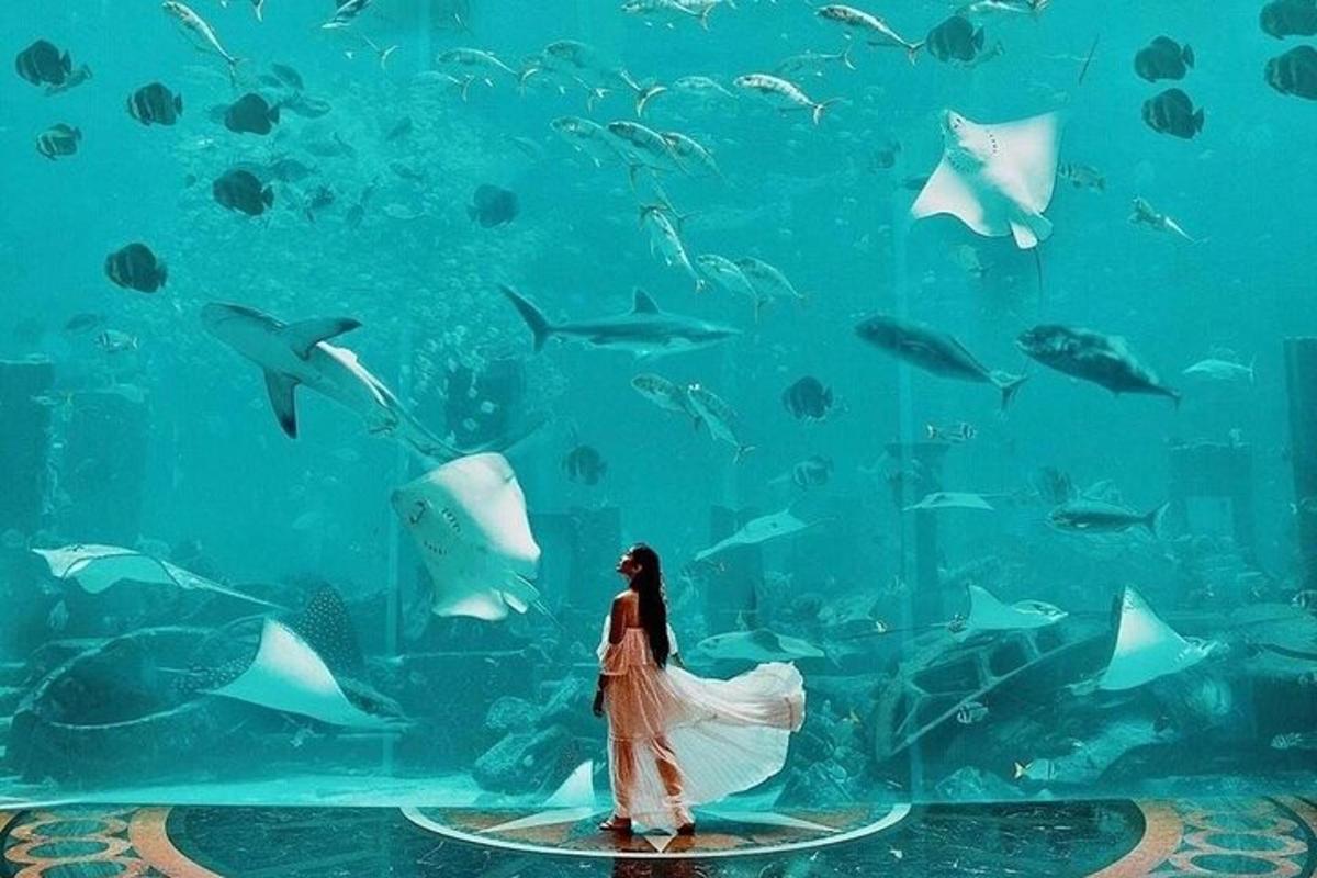 Attraction picture 6