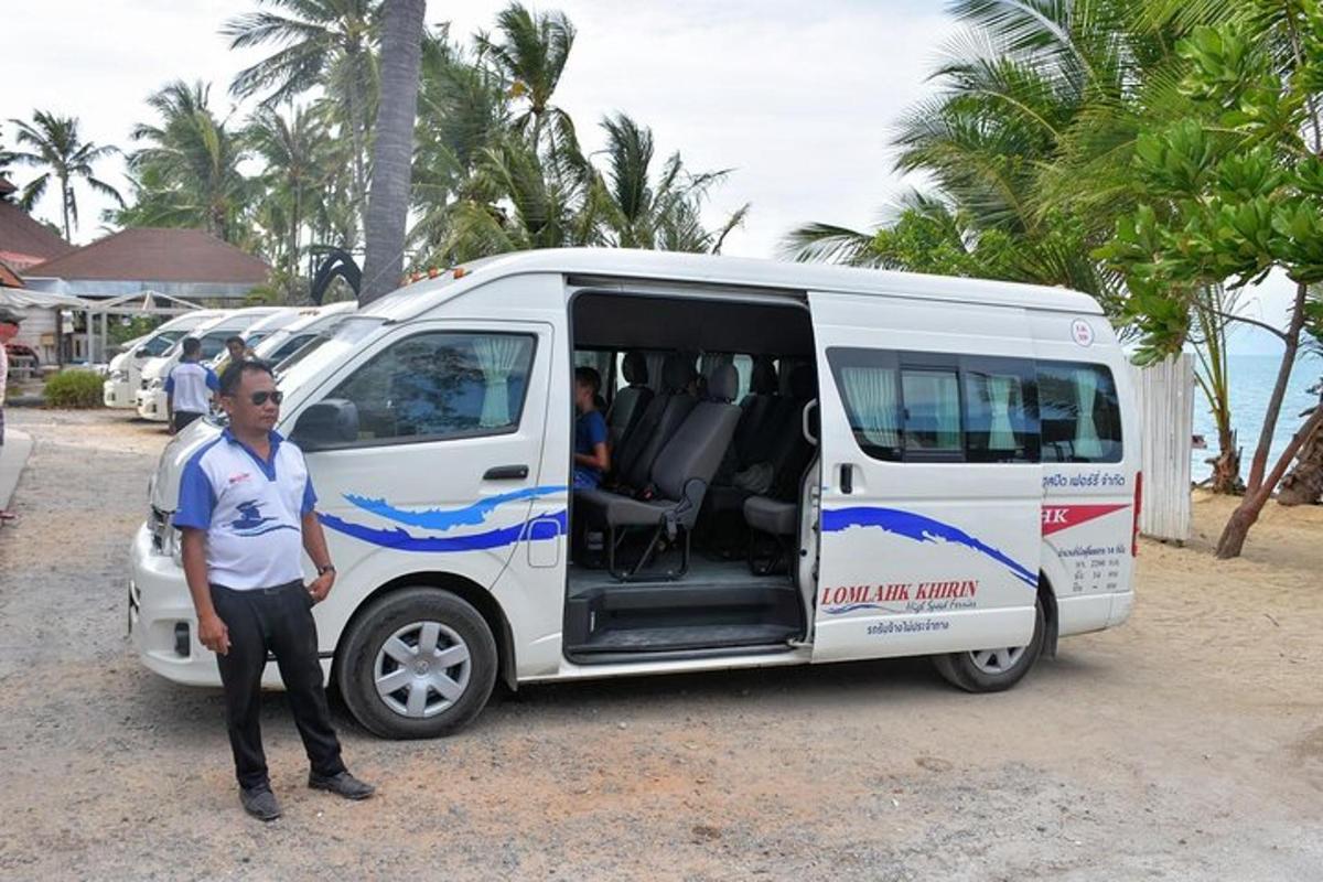 a man standing in front of a white van