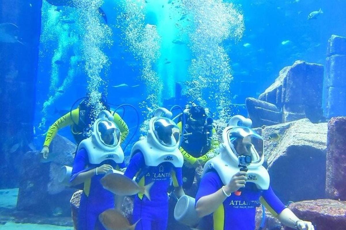 Attraction picture 7