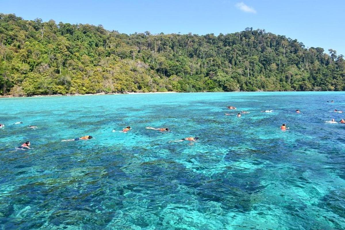 a group of people swimming in the ocean