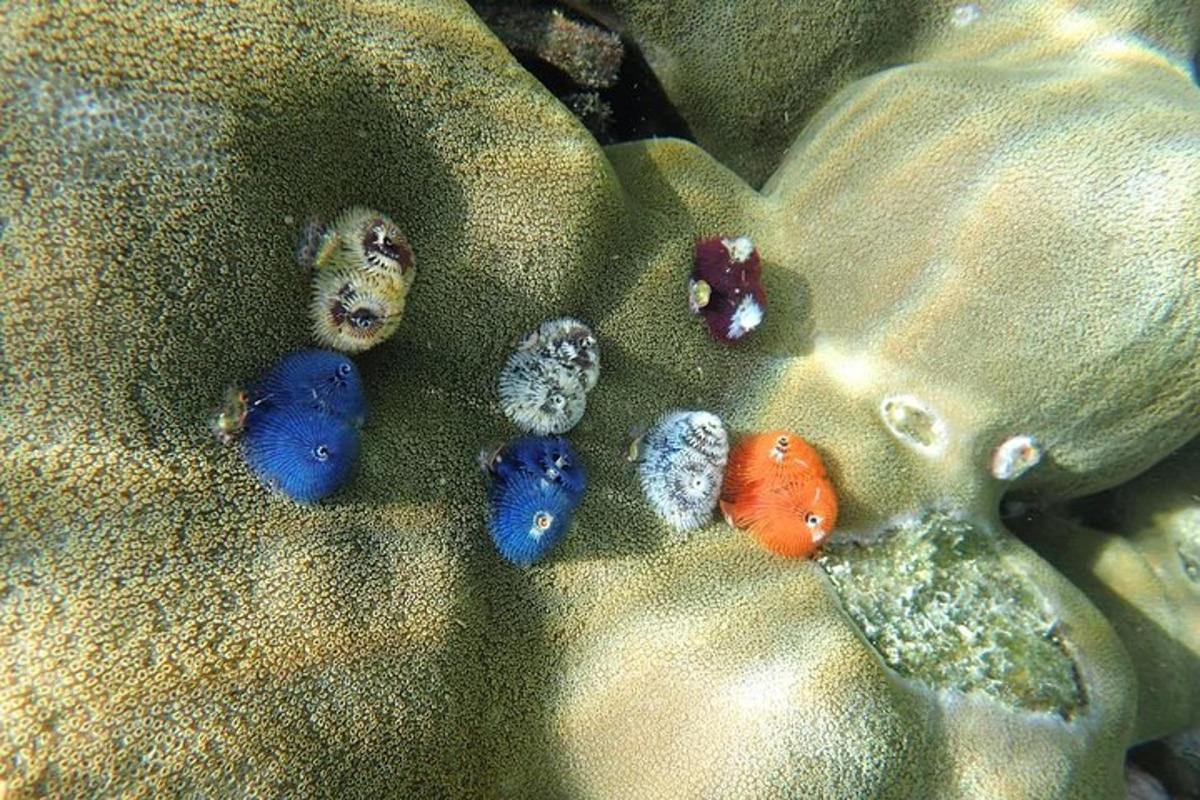 a group of different colored rocks in the sand