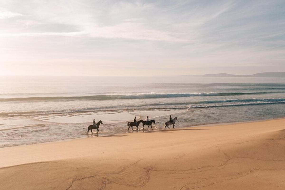un grup de persones muntant a cavall a la platja