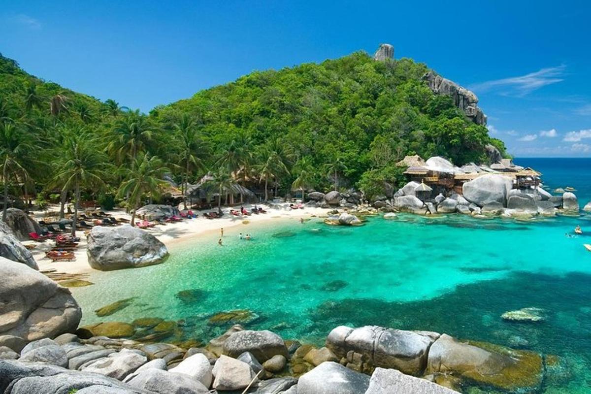 pantai dengan sekelompok orang di dalam air