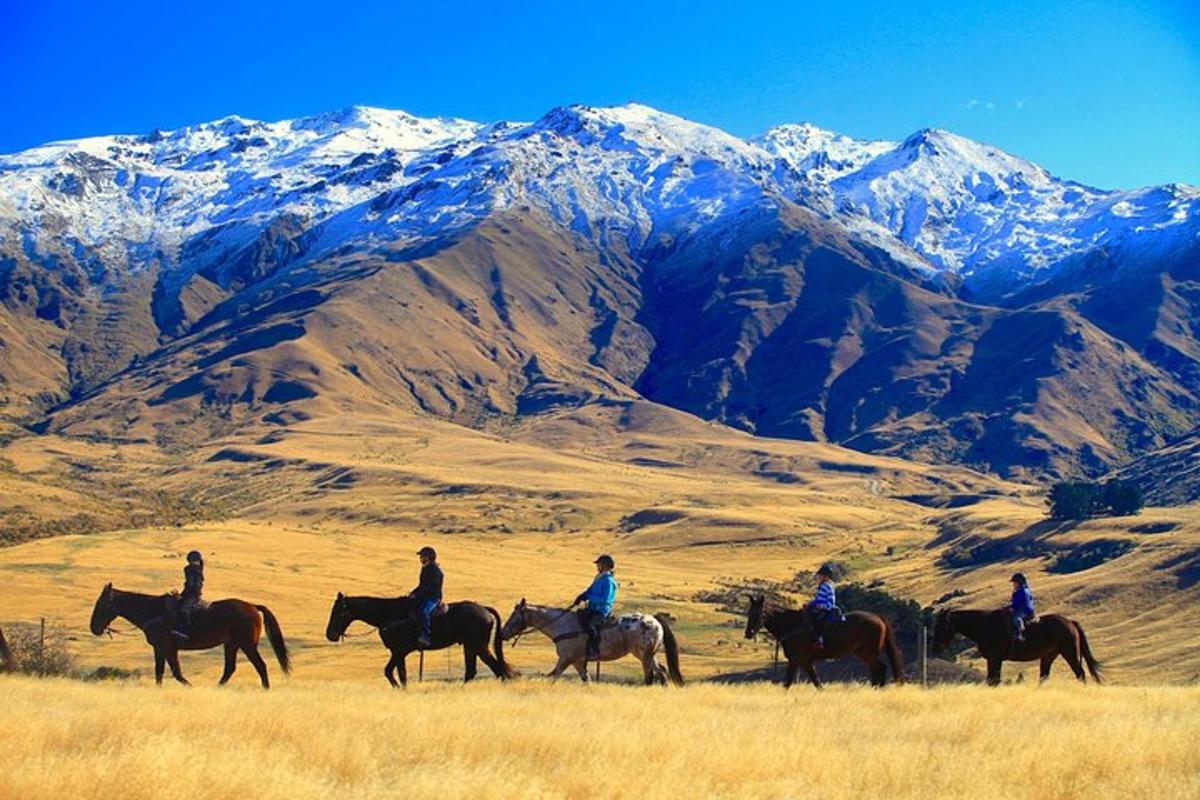 um grupo de pessoas andando a cavalo nas montanhas