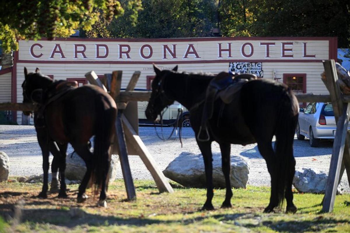 três cavalos parados em frente a um hotel carron