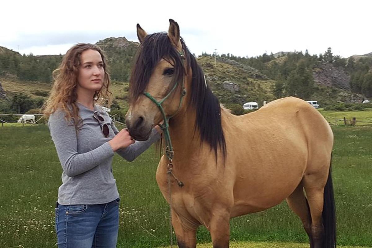 žena stojící vedle hnědého koně na poli