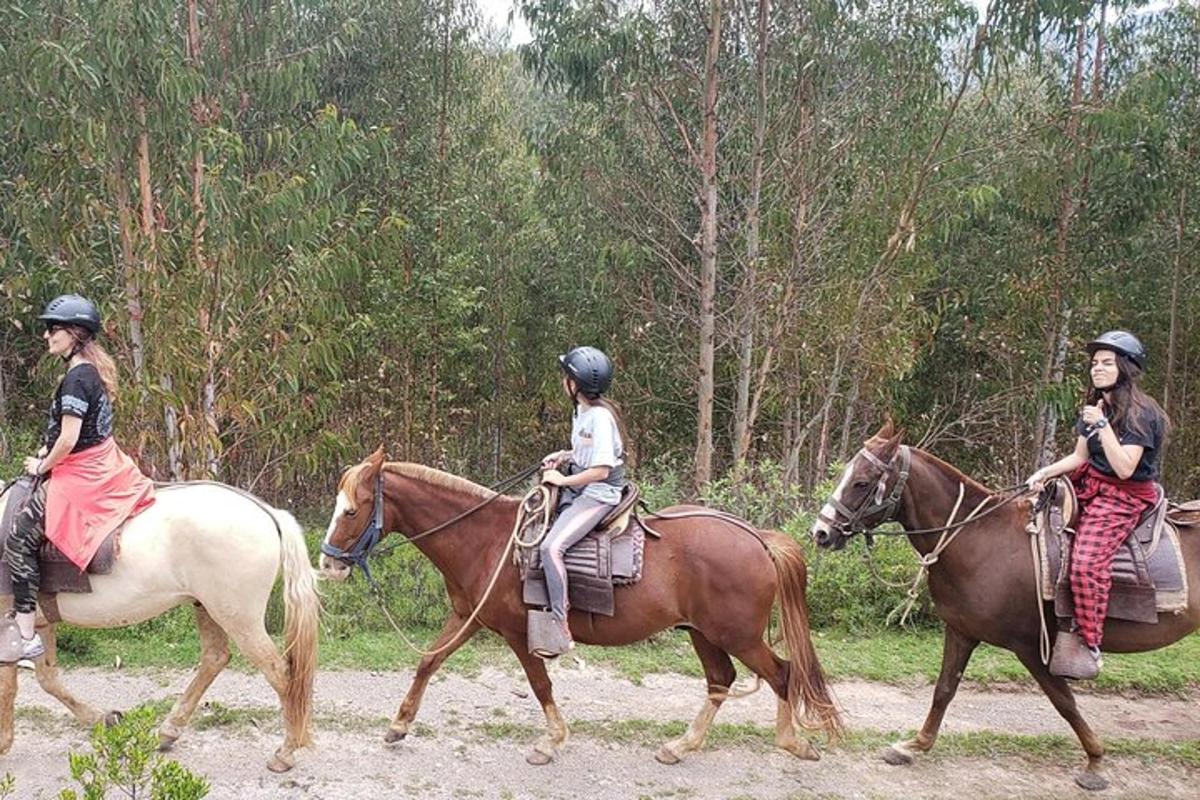 tre personer som rir på hester på en grusvei