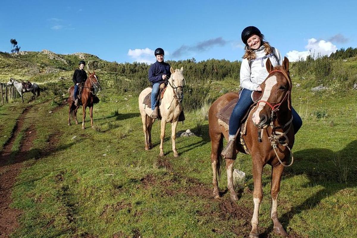 hópur fólks á hestbaki á akri