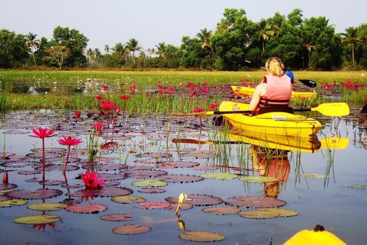 seorang wanita duduk di atas kayak di dalam kolam bunga