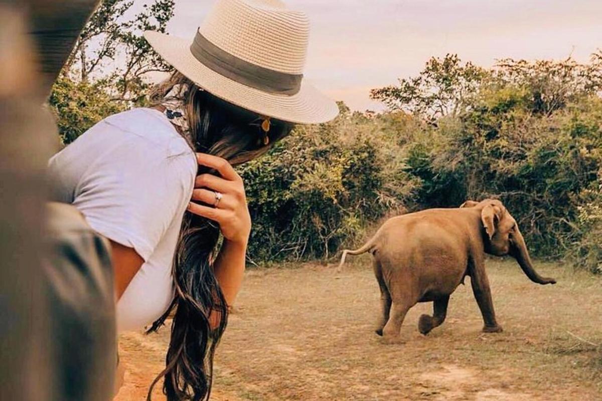 uma mulher de chapéu olhando para um bebê elefante