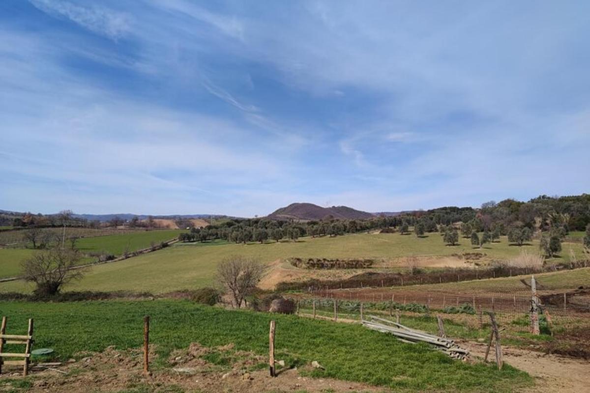 un campo di erba verde con una recinzione e delle montagne
