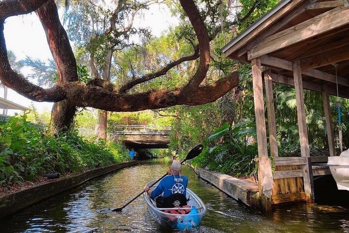 una persona in canoa su un fiume con un albero