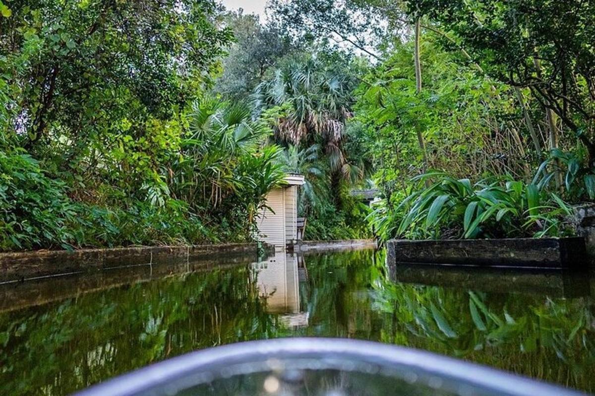 una barca che naviga lungo un fiume nella giungla
