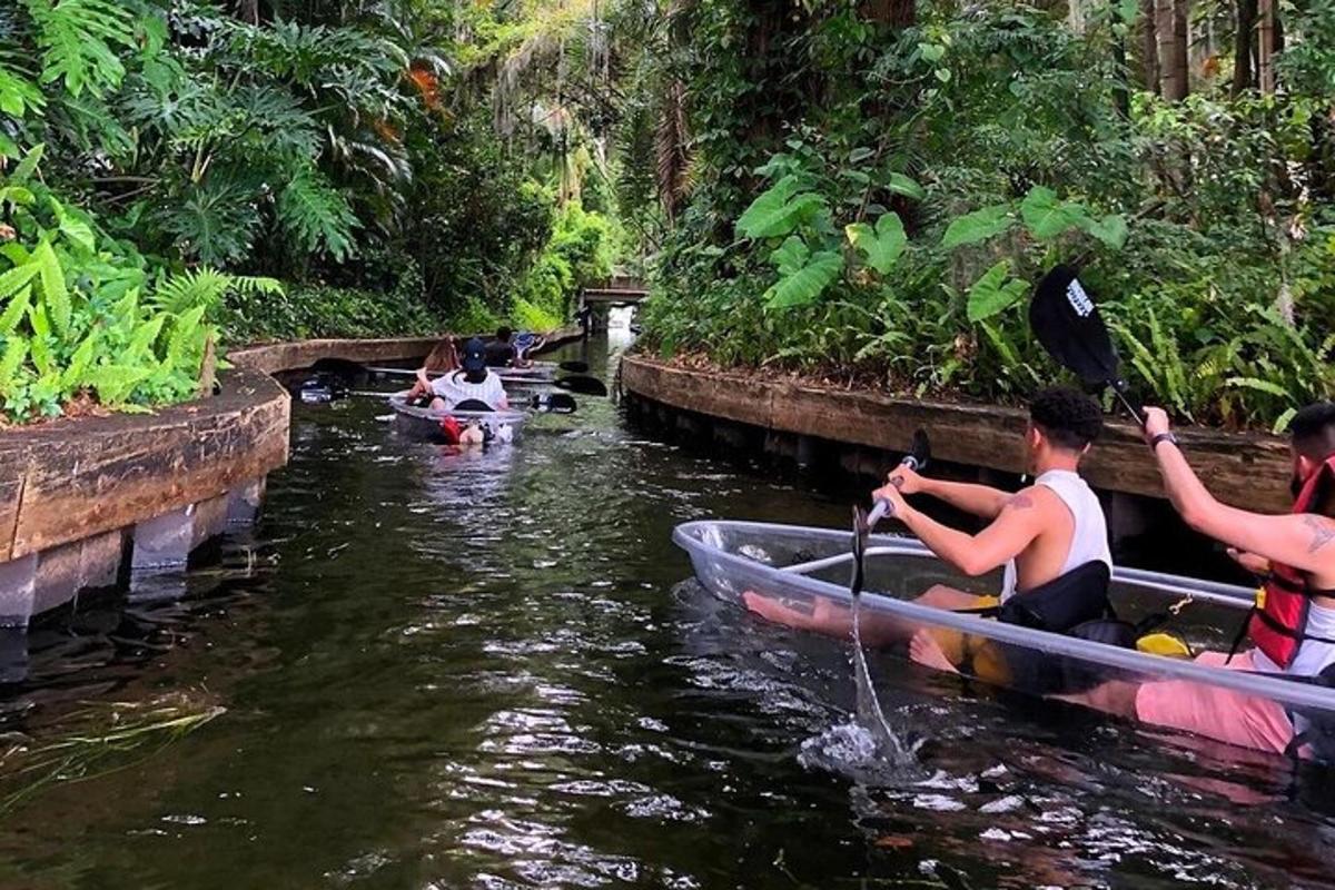 um grupo de pessoas descendo um rio de canoa