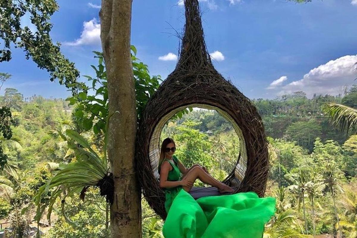 una mujer sentada en un columpio en un árbol