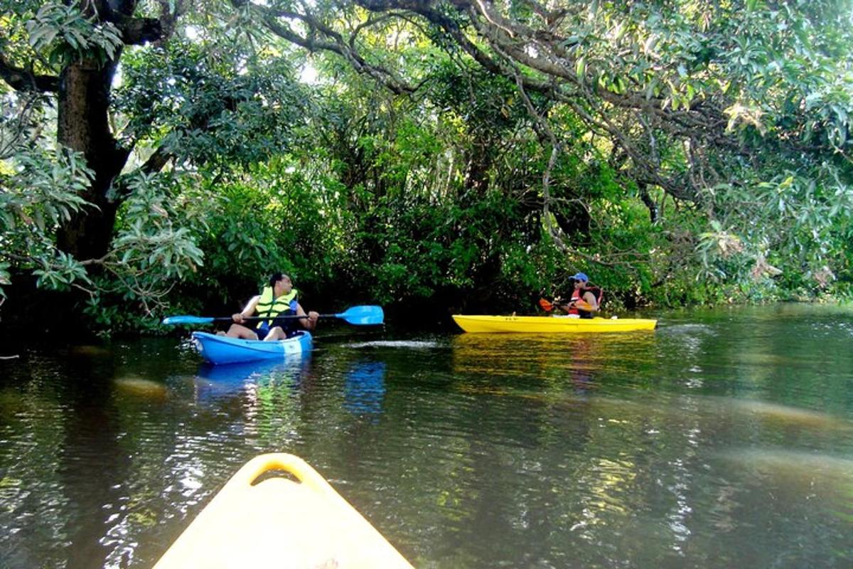 un groupe de personnes faisant du kayak sur une rivière