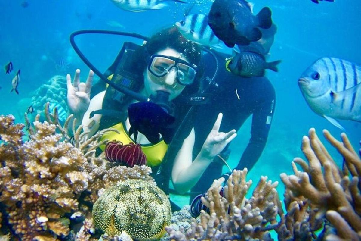 una dona a l'oceà amb peixos a l'aigua