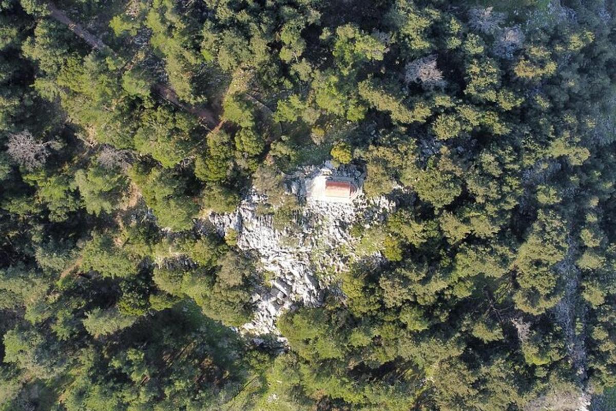 вид з повітря на будинок посеред лісу