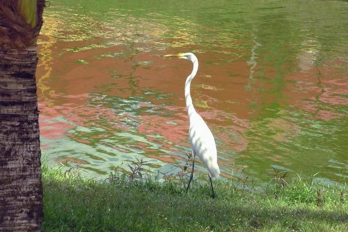 Turistik nokta fotoğrafı 6