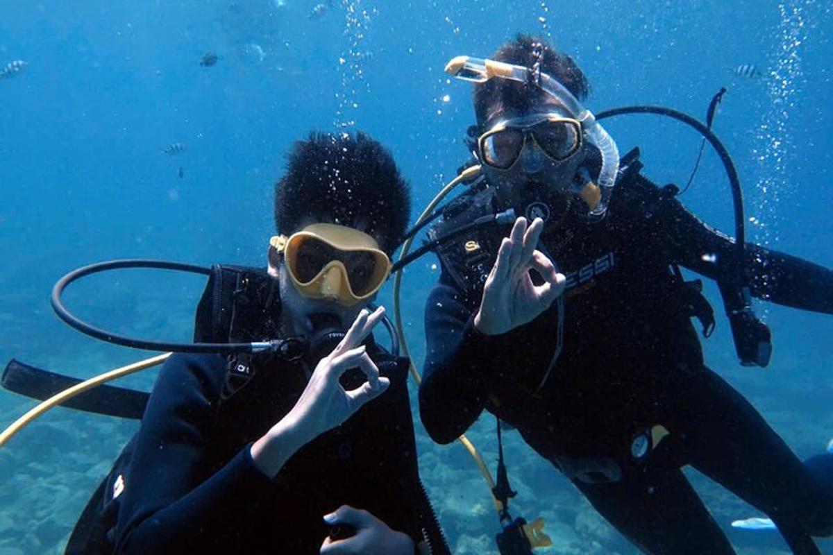 dua orang di dalam air memakai topeng gas