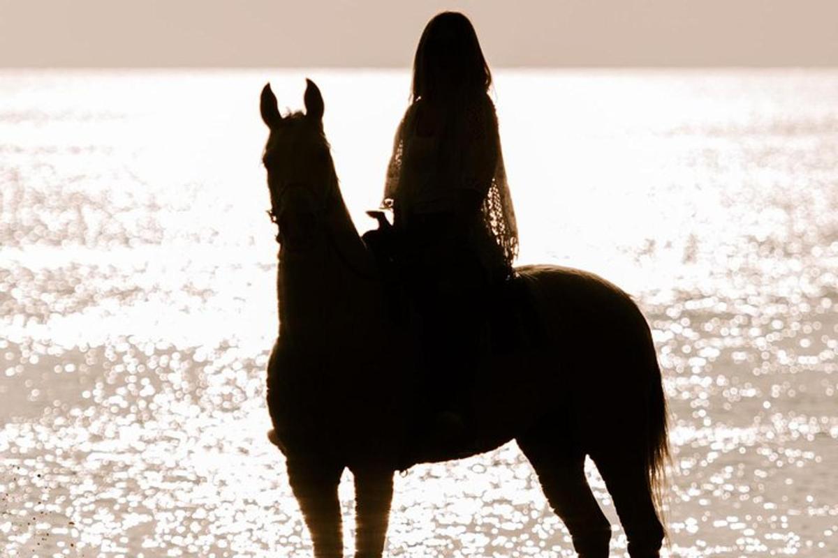 a woman riding a horse on the beach