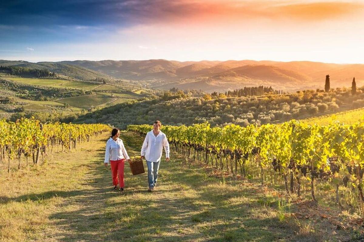 dvě ženy procházející se vinicí v kopcích