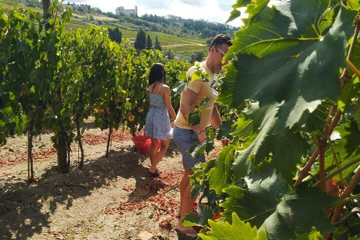 dvě ženy procházející se vinicí na poli