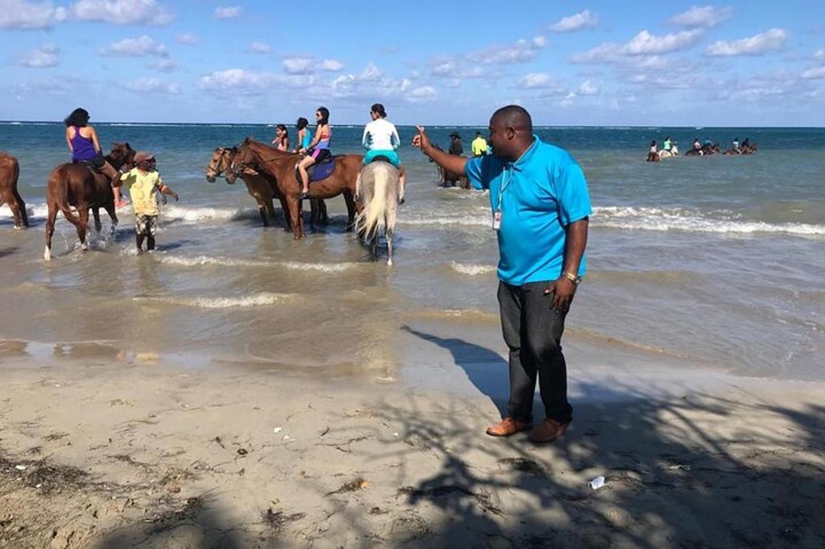 un home dret a la platja amb un grup de cavalls