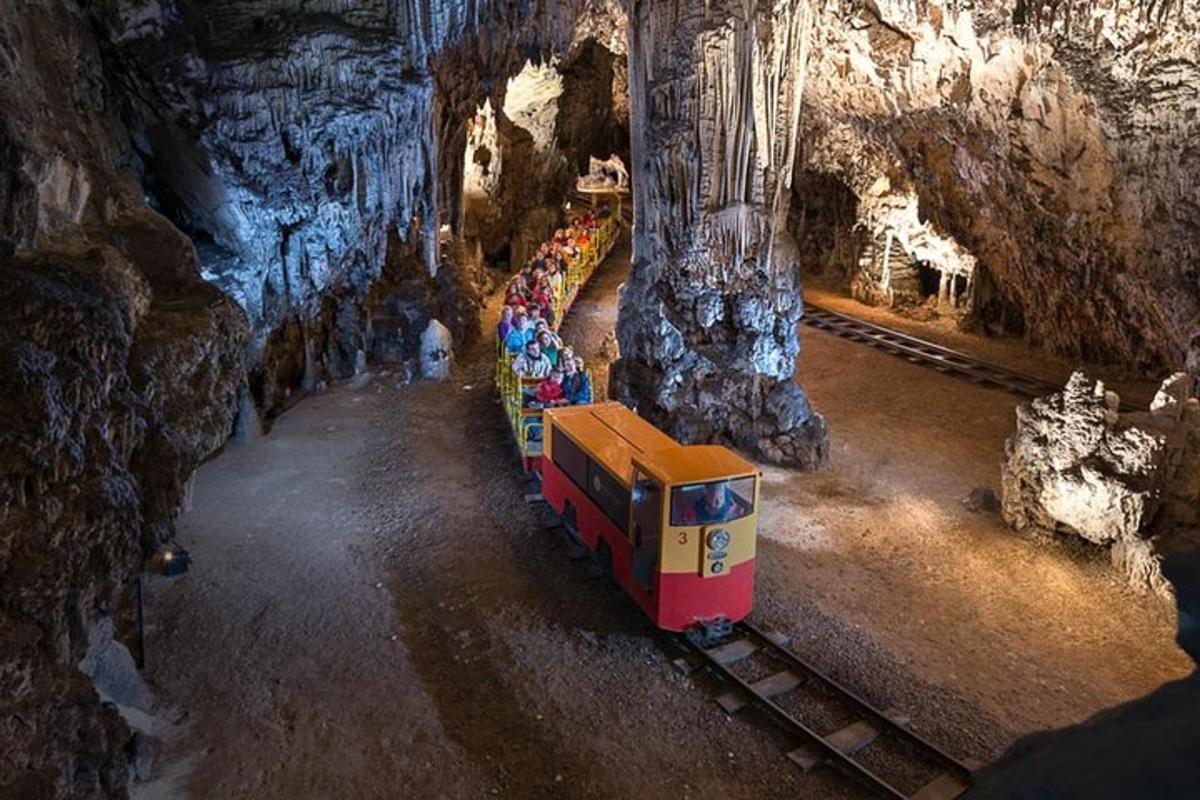 un trenino giocattolo che attraversa una grotta