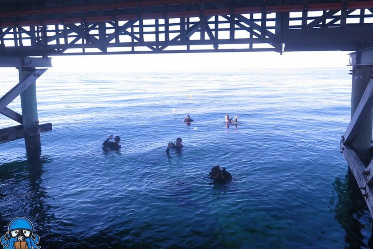 группа людей в воде под мостом