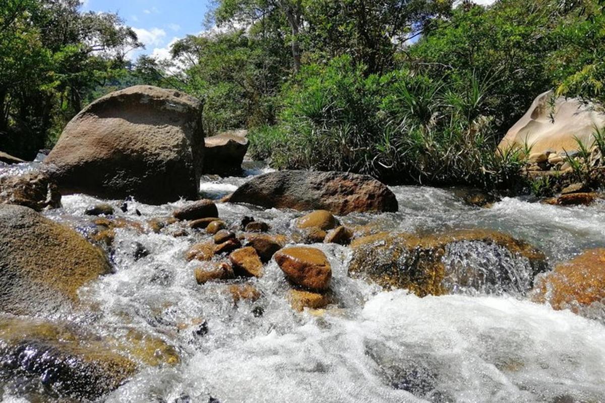 un corso d'acqua con rocce in un fiume
