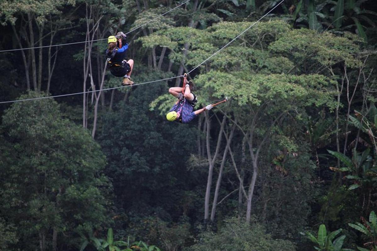 tři lidé na zip line v džungli