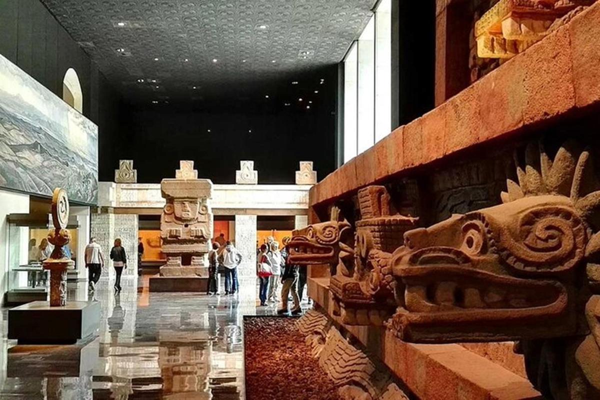 muzej s skupino razstavljenih artefaktov