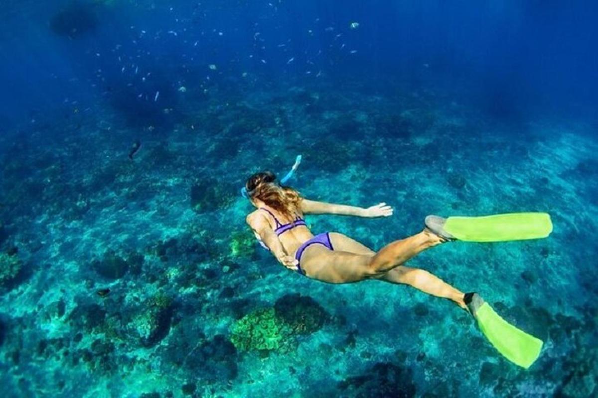 seorang wanita berbikini berenang di lautan
