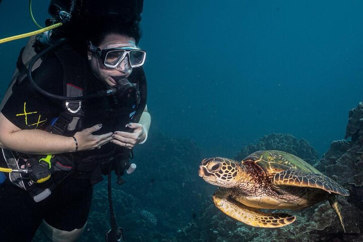 ein Taucher umarmt eine Schildkröte im Ozean