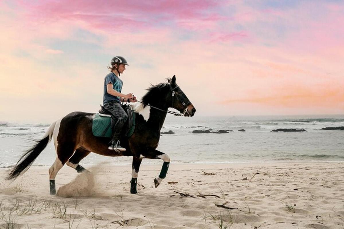 a woman riding a horse on the beach